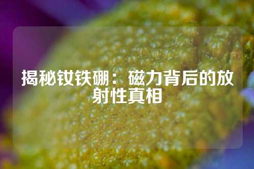 揭秘釹鐵硼：磁力背后的放射性真相