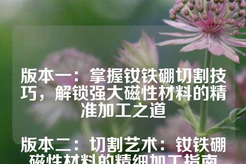 版本一：掌握釹鐵硼切割技巧，解鎖強大磁性材料的精準加工之道

版本二：切割藝術：釹鐵硼磁性材料的精細加工指南

版本三：精準切割的秘密：釹鐵硼磁性材料加工實戰解析