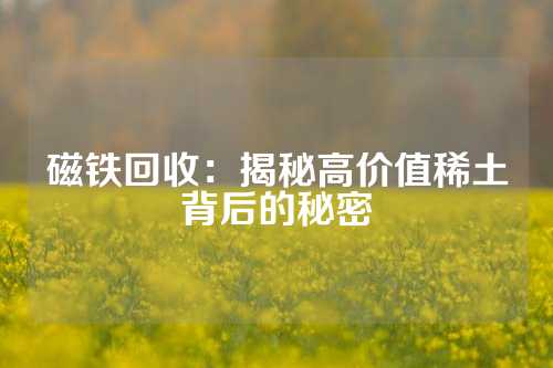 磁鐵回收：揭秘高價值稀土背后的秘密