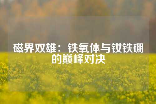 磁界雙雄：鐵氧體與釹鐵硼的巔峰對決