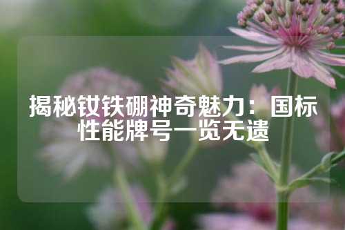 揭秘釹鐵硼神奇魅力：國標性能牌號一覽無遺