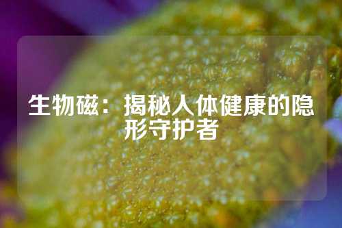 生物磁：揭秘人體健康的隱形守護者