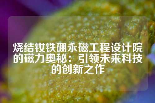 燒結釹鐵硼永磁工程設計院的磁力奧秘：引領未來科技的創新之作