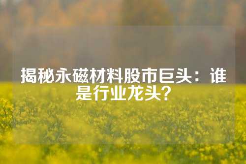 揭秘永磁材料股市巨頭：誰(shuí)是行業(yè)龍頭？