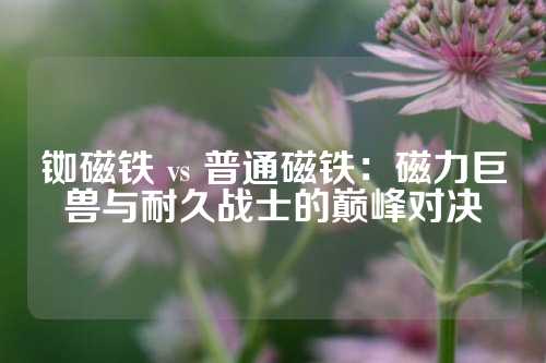 銣磁鐵 vs 普通磁鐵：磁力巨獸與耐久戰(zhàn)士的巔峰對(duì)決