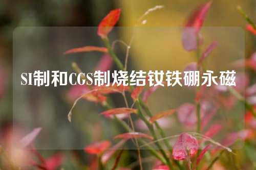 SI制和CGS制燒結釹鐵硼永磁