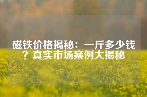 磁鐵價格揭秘：一斤多少錢？真實市場案例大揭秘