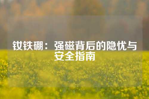 釹鐵硼：強磁背后的隱憂與安全指南