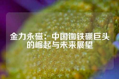 金力永磁：中國銣鐵硼巨頭的崛起與未來展望