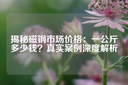 揭秘磁鋼市場(chǎng)價(jià)格：一公斤多少錢？真實(shí)案例深度解析