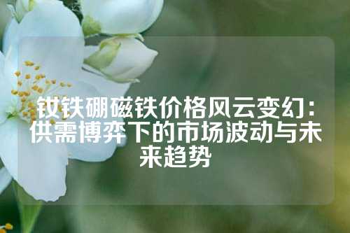 釹鐵硼磁鐵價(jià)格風(fēng)云變幻：供需博弈下的市場(chǎng)波動(dòng)與未來趨勢(shì)