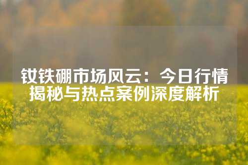 釹鐵硼市場風云：今日行情揭秘與熱點案例深度解析