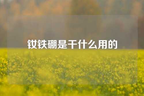 釹鐵硼是干什么用的