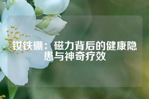 釹鐵硼：磁力背后的健康隱患與神奇療效