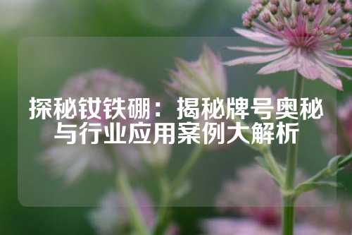 探秘釹鐵硼：揭秘牌號奧秘與行業應用案例大解析