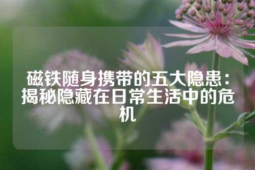 磁鐵隨身攜帶的五大隱患：揭秘隱藏在日常生活中的危機