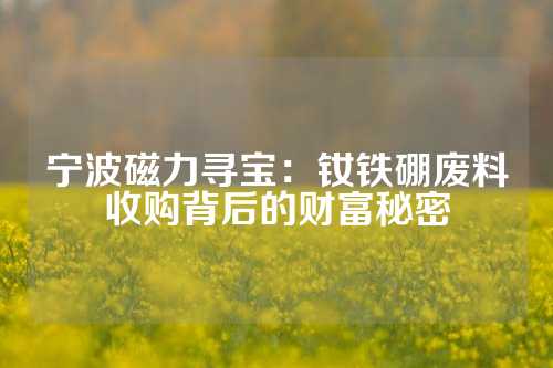 寧波磁力尋寶：釹鐵硼廢料收購背后的財富秘密