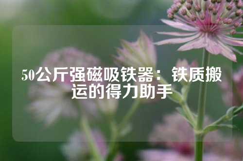 50公斤強磁吸鐵器：鐵質搬運的得力助手