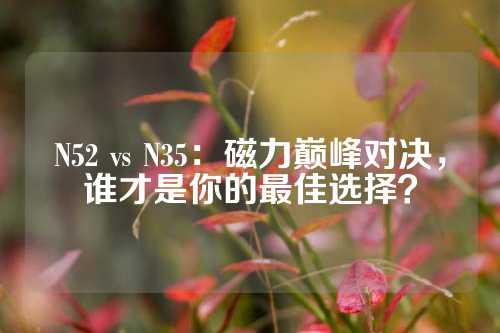 N52 vs N35：磁力巔峰對決，誰才是你的最佳選擇？