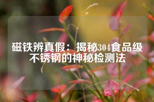 磁鐵辨真假：揭秘304食品級不銹鋼的神秘檢測法