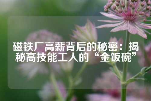 磁鐵廠高薪背后的秘密：揭秘高技能工人的“金飯碗”