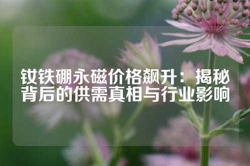 釹鐵硼永磁價格飆升：揭秘背后的供需真相與行業(yè)影響