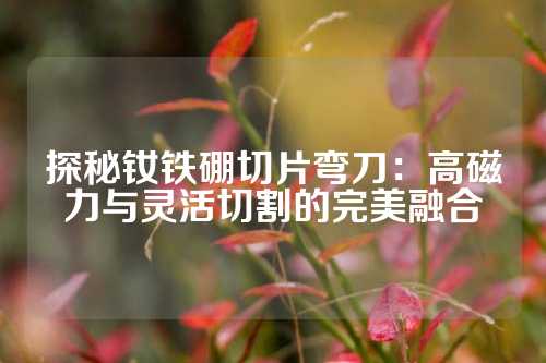 探秘釹鐵硼切片彎刀：高磁力與靈活切割的完美融合