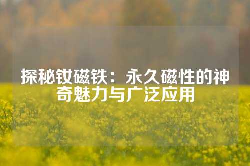 探秘釹磁鐵：永久磁性的神奇魅力與廣泛應用