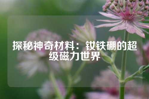 探秘神奇材料：釹鐵硼的超級(jí)磁力世界