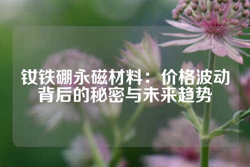 釹鐵硼永磁材料：價(jià)格波動(dòng)背后的秘密與未來趨勢(shì)