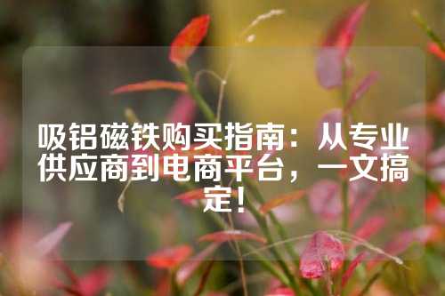 吸鋁磁鐵購買指南:從專業(yè)供應(yīng)商到電商平臺,一文搞定!