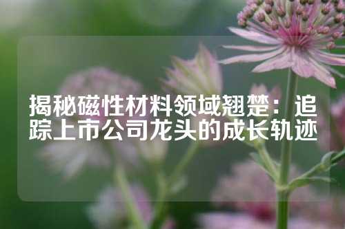 揭秘磁性材料領域翹楚：追蹤上市公司龍頭的成長軌跡