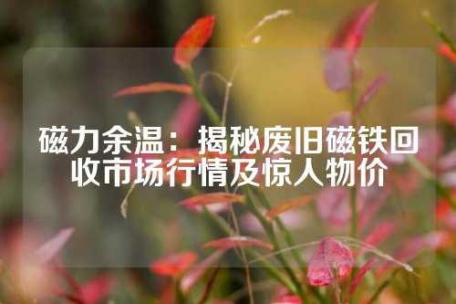 磁力余溫：揭秘廢舊磁鐵回收市場行情及驚人物價