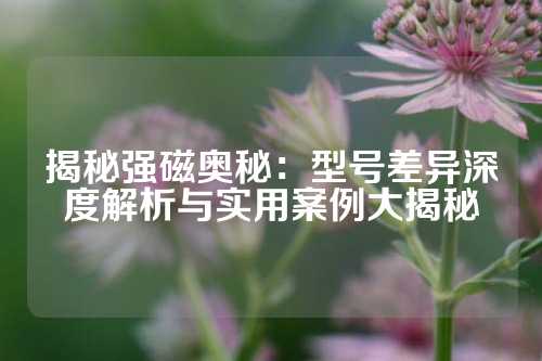 揭秘強(qiáng)磁奧秘：型號(hào)差異深度解析與實(shí)用案例大揭秘