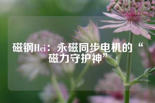 磁鋼Hci：永磁同步電機的“磁力守護神”