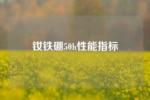 釹鐵硼50h性能指標