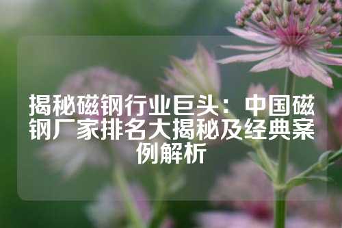 揭秘磁鋼行業巨頭：中國磁鋼廠家排名大揭秘及經典案例解析