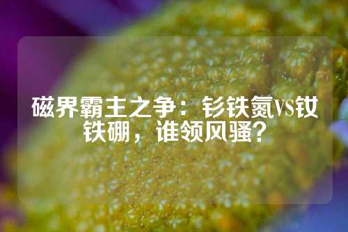 磁界霸主之爭(zhēng)：釤鐵氮VS釹鐵硼，誰(shuí)領(lǐng)風(fēng)騷？