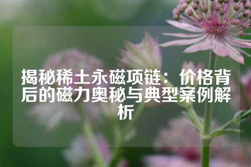 揭秘稀土永磁項鏈：價格背后的磁力奧秘與典型案例解析