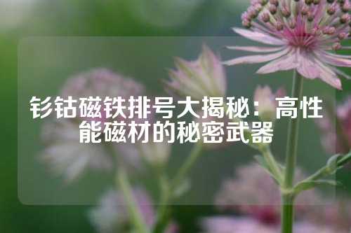 釤鈷磁鐵排號大揭秘：高性能磁材的秘密武器