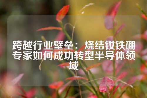 跨越行業(yè)壁壘：燒結(jié)釹鐵硼專家如何成功轉(zhuǎn)型半導(dǎo)體領(lǐng)域