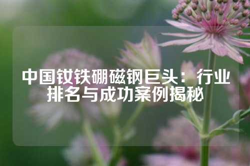 中國釹鐵硼磁鋼巨頭：行業排名與成功案例揭秘