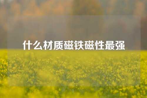 什么材質磁鐵磁性最強