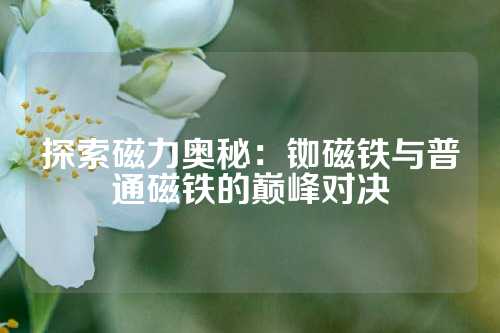 探索磁力奧秘：銣磁鐵與普通磁鐵的巔峰對決