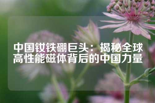 中國釹鐵硼巨頭：揭秘全球高性能磁體背后的中國力量