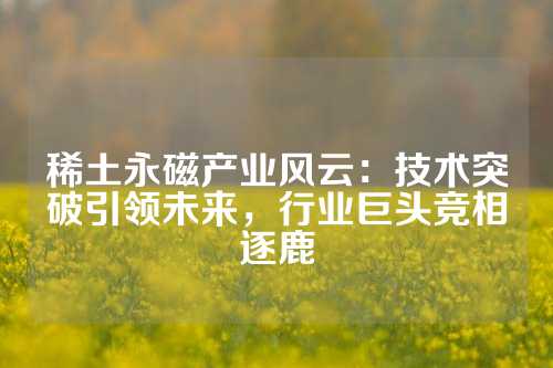 稀土永磁產(chǎn)業(yè)風(fēng)云：技術(shù)突破引領(lǐng)未來，行業(yè)巨頭競相逐鹿