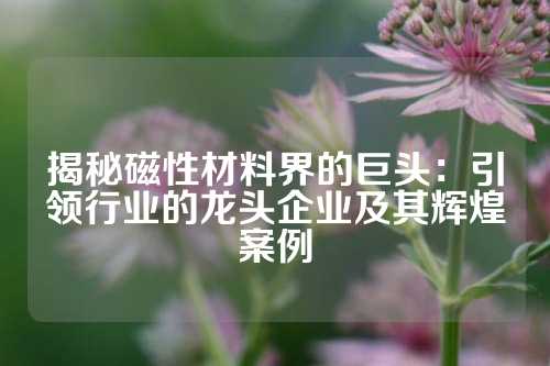 揭秘磁性材料界的巨頭：引領行業的龍頭企業及其輝煌案例