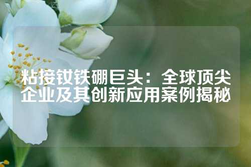 粘接釹鐵硼巨頭：全球頂尖企業(yè)及其創(chuàng)新應(yīng)用案例揭秘