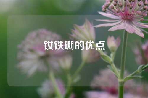 釹鐵硼的優(yōu)點