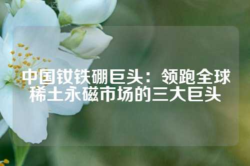 中國釹鐵硼巨頭:領(lǐng)跑全球稀土永磁市場的三大巨頭